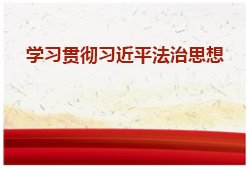亚新app